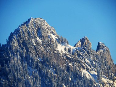 Peri masalı dağ atmosferi ve Goggeien (1655 m) ve Schar (ya da Schaer, 1635 m), Nesslau - Obertoggenburg, İsviçre / Schweiz 'deki karla kaplı kozalaklı ağaçlar