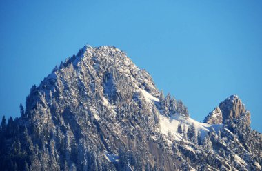 Peri masalı dağ atmosferi ve Goggeien (1655 m) ve Schar (ya da Schaer, 1635 m), Nesslau - Obertoggenburg, İsviçre / Schweiz 'deki karla kaplı kozalaklı ağaçlar