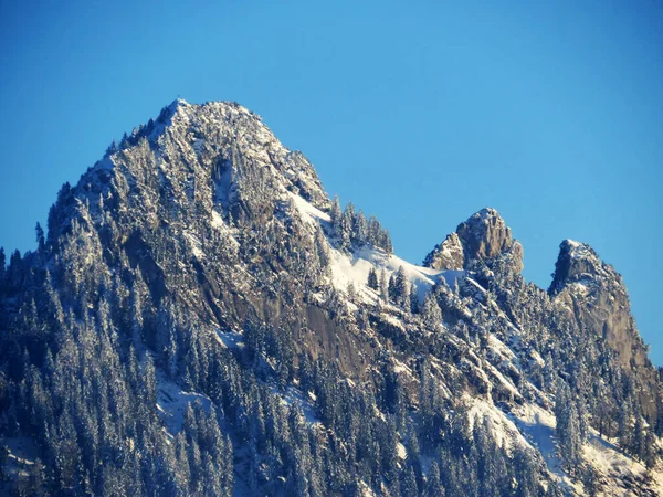 Peri masalı dağ atmosferi ve Goggeien (1655 m) ve Schar (ya da Schaer, 1635 m), Nesslau - Obertoggenburg, İsviçre / Schweiz 'deki karla kaplı kozalaklı ağaçlar