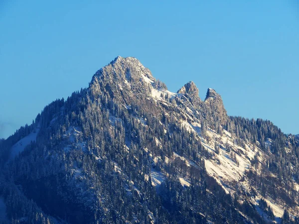 Fairytale Alpine Winter Atmosphere Snow Covered Coniferous Trees Mountain Peaks — Foto Stock