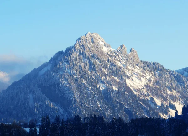 Peri masalı dağ atmosferi ve Goggeien (1655 m) ve Schar (ya da Schaer, 1635 m), Nesslau - Obertoggenburg, İsviçre / Schweiz 'deki karla kaplı kozalaklı ağaçlar