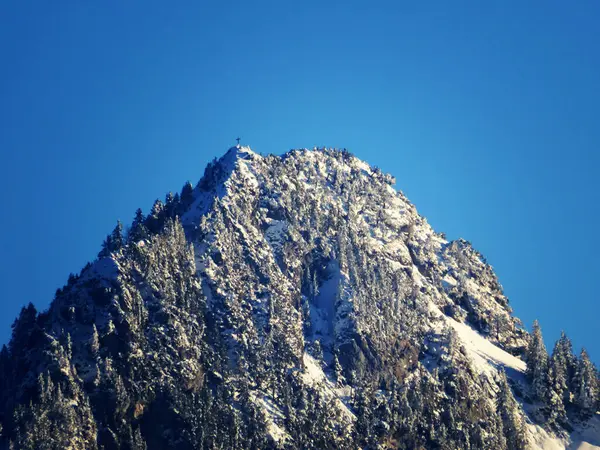 Atmosfera Inverno Alpina Conto Fadas Árvores Coníferas Cobertas Neve Pico — Fotografia de Stock