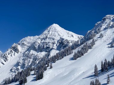 Peri masalı dağ atmosferi ve kar kaplı dağ zirvesi Lutispitz (ya da Luetispitz, 1655 m) Alpstein kitlesi ve Obertoggenburg alp vadisi üzerinde - Nesslau, İsviçre / Schweiz