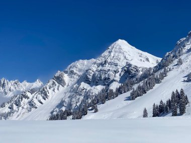 Peri masalı dağ atmosferi ve kar kaplı dağ zirvesi Lutispitz (ya da Luetispitz, 1655 m) Alpstein kitlesi ve Obertoggenburg alp vadisi üzerinde - Nesslau, İsviçre / Schweiz