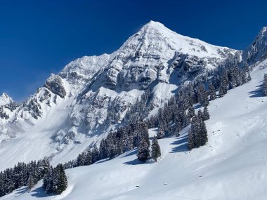 Peri masalı dağ atmosferi ve kar kaplı dağ zirvesi Lutispitz (ya da Luetispitz, 1655 m) Alpstein kitlesi ve Obertoggenburg alp vadisi üzerinde - Nesslau, İsviçre / Schweiz