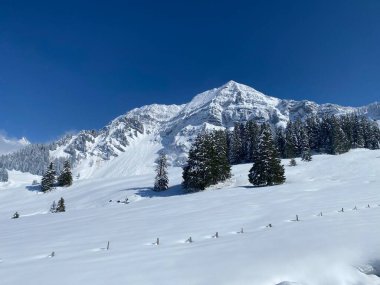 Peri masalı dağ atmosferi ve kar kaplı dağ zirvesi Lutispitz (ya da Luetispitz, 1655 m) Alpstein kitlesi ve Obertoggenburg alp vadisi üzerinde - Nesslau, İsviçre / Schweiz