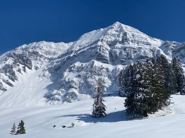 Peri masalı dağ atmosferi ve kar kaplı dağ zirvesi Lutispitz (ya da Luetispitz, 1655 m) Alpstein kitlesi ve Obertoggenburg alp vadisi üzerinde - Nesslau, İsviçre / Schweiz