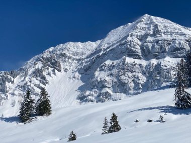 Peri masalı dağ atmosferi ve kar kaplı dağ zirvesi Lutispitz (ya da Luetispitz, 1655 m) Alpstein kitlesi ve Obertoggenburg alp vadisi üzerinde - Nesslau, İsviçre / Schweiz
