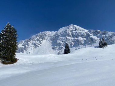Peri masalı dağ atmosferi ve kar kaplı dağ zirvesi Lutispitz (ya da Luetispitz, 1655 m) Alpstein kitlesi ve Obertoggenburg alp vadisi üzerinde - Nesslau, İsviçre / Schweiz