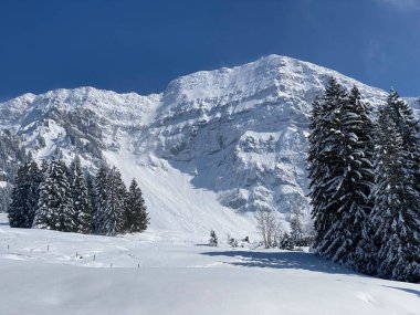 Peri masalı dağ atmosferi ve kar kaplı dağ zirvesi Lutispitz (ya da Luetispitz, 1655 m) Alpstein kitlesi ve Obertoggenburg alp vadisi üzerinde - Nesslau, İsviçre / Schweiz