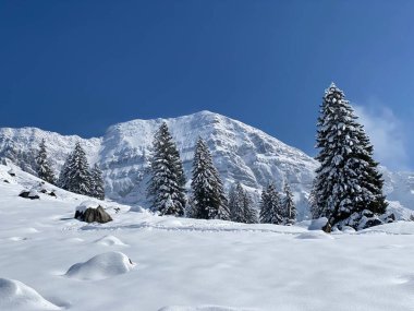 Peri masalı dağ atmosferi ve kar kaplı dağ zirvesi Lutispitz (ya da Luetispitz, 1655 m) Alpstein kitlesi ve Obertoggenburg alp vadisi üzerinde - Nesslau, İsviçre / Schweiz