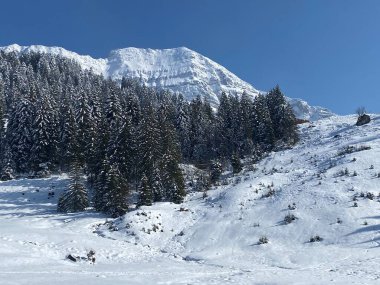 Peri masalı dağ atmosferi ve kar kaplı dağ zirvesi Lutispitz (ya da Luetispitz, 1655 m) Alpstein kitlesi ve Obertoggenburg alp vadisi üzerinde - Nesslau, İsviçre / Schweiz