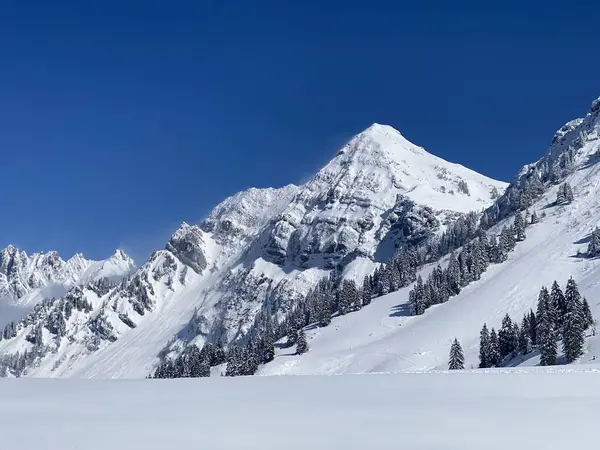 Peri masalı dağ atmosferi ve kar kaplı dağ zirvesi Lutispitz (ya da Luetispitz, 1655 m) Alpstein kitlesi ve Obertoggenburg alp vadisi üzerinde - Nesslau, İsviçre / Schweiz