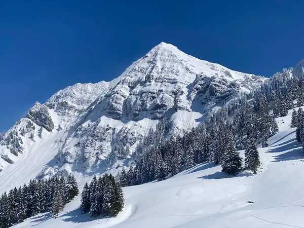 Peri masalı dağ atmosferi ve kar kaplı dağ zirvesi Lutispitz (ya da Luetispitz, 1655 m) Alpstein kitlesi ve Obertoggenburg alp vadisi üzerinde - Nesslau, İsviçre / Schweiz