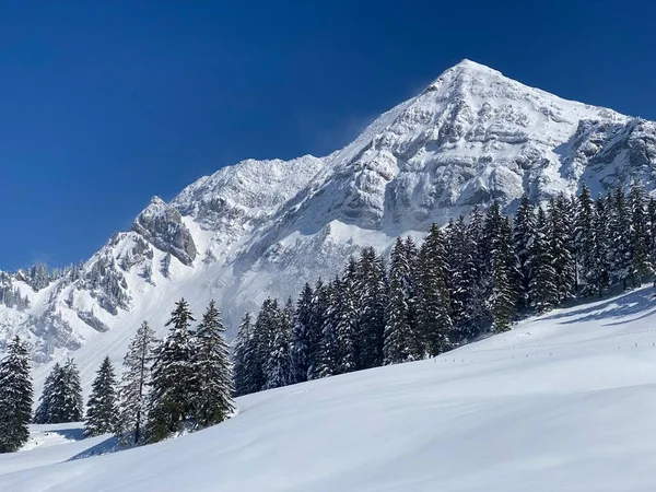Peri masalı dağ atmosferi ve kar kaplı dağ zirvesi Lutispitz (ya da Luetispitz, 1655 m) Alpstein kitlesi ve Obertoggenburg alp vadisi üzerinde - Nesslau, İsviçre / Schweiz