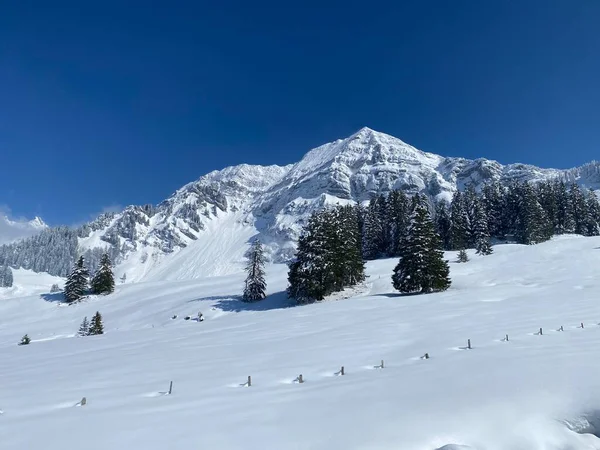 Peri masalı dağ atmosferi ve kar kaplı dağ zirvesi Lutispitz (ya da Luetispitz, 1655 m) Alpstein kitlesi ve Obertoggenburg alp vadisi üzerinde - Nesslau, İsviçre / Schweiz