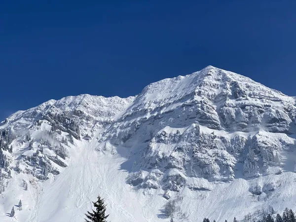 Peri masalı dağ atmosferi ve kar kaplı dağ zirvesi Lutispitz (ya da Luetispitz, 1655 m) Alpstein kitlesi ve Obertoggenburg alp vadisi üzerinde - Nesslau, İsviçre / Schweiz
