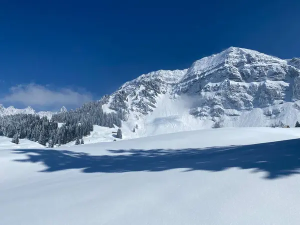 Peri masalı dağ atmosferi ve kar kaplı dağ zirvesi Lutispitz (ya da Luetispitz, 1655 m) Alpstein kitlesi ve Obertoggenburg alp vadisi üzerinde - Nesslau, İsviçre / Schweiz