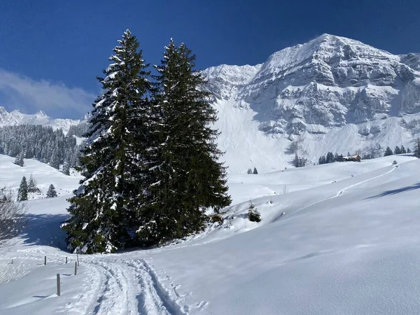 Peri masalı dağ atmosferi ve kar kaplı dağ zirvesi Lutispitz (ya da Luetispitz, 1655 m) Alpstein kitlesi ve Obertoggenburg alp vadisi üzerinde - Nesslau, İsviçre / Schweiz