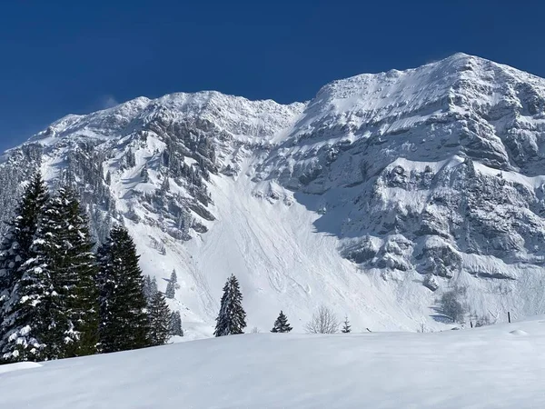 Peri masalı dağ atmosferi ve kar kaplı dağ zirvesi Lutispitz (ya da Luetispitz, 1655 m) Alpstein kitlesi ve Obertoggenburg alp vadisi üzerinde - Nesslau, İsviçre / Schweiz