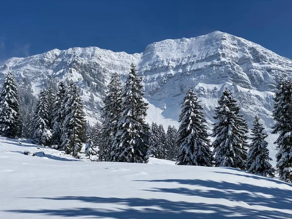 Peri masalı dağ atmosferi ve kar kaplı dağ zirvesi Lutispitz (ya da Luetispitz, 1655 m) Alpstein kitlesi ve Obertoggenburg alp vadisi üzerinde - Nesslau, İsviçre / Schweiz