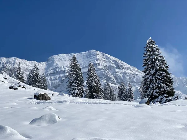 Fairytale Alpine Winter Atmosphere Snow Covered Mountain Peak Lutispitz Luetispitz — Stockfoto