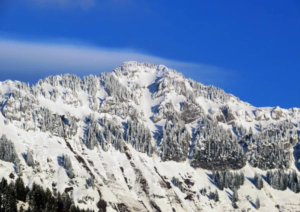 Sprookjesachtige Winterse Sfeer Besneeuwde Bergtop Lutispitz Luetispitz 1655 Het Alpsteinmassief — Stockfoto