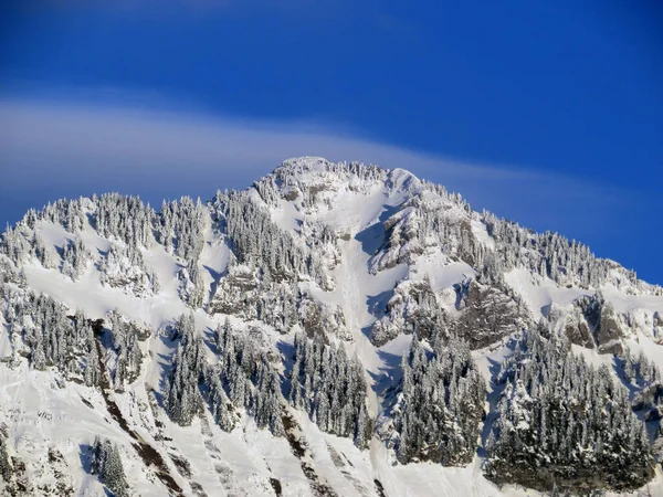 Fairytale Alpine Winter Atmosphere Snow Covered Mountain Peak Lutispitz Luetispitz — Foto de Stock