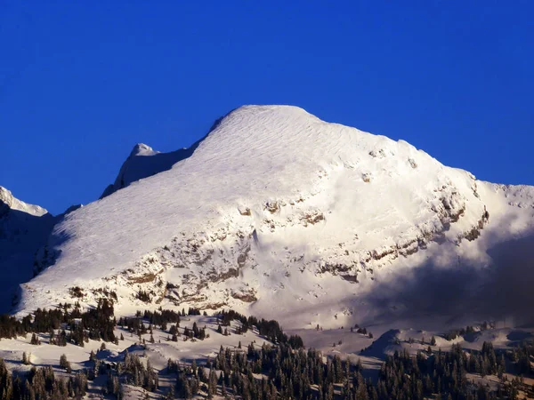Snow Capped Alpine Peak Selun 2205 Churfirsten Mountain Range Toggenburg — стокове фото