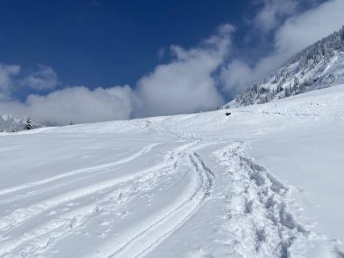 Alpstein dağlarının yamaçlarında ve İsviçre Alpleri 'nin taze dağlık kar örtüsünde, Nesslau - Obertoggenburg, İsviçre (Schweiz)