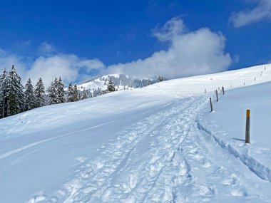 Alpstein dağlarının yamaçlarında ve İsviçre Alpleri 'nin taze dağlık kar örtüsünde, Nesslau - Obertoggenburg, İsviçre (Schweiz)