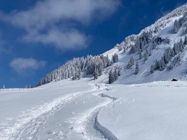 Alpstein dağlarının yamaçlarında ve İsviçre Alpleri 'nin taze dağlık kar örtüsünde, Nesslau - Obertoggenburg, İsviçre (Schweiz)