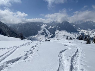 Alpstein dağlarının yamaçlarında ve İsviçre Alpleri 'nin taze dağlık kar örtüsünde, Nesslau - Obertoggenburg, İsviçre (Schweiz)