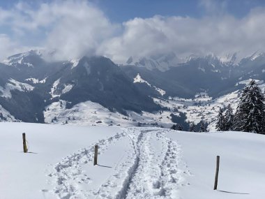 Alpstein dağlarının yamaçlarında ve İsviçre Alpleri 'nin taze dağlık kar örtüsünde, Nesslau - Obertoggenburg, İsviçre (Schweiz)