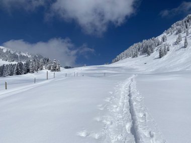 Alpstein dağlarının yamaçlarında ve İsviçre Alpleri 'nin taze dağlık kar örtüsünde, Nesslau - Obertoggenburg, İsviçre (Schweiz)