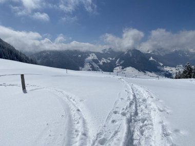 Alpstein dağlarının yamaçlarında ve İsviçre Alpleri 'nin taze dağlık kar örtüsünde, Nesslau - Obertoggenburg, İsviçre (Schweiz)