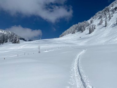 Alpstein dağlarının yamaçlarında ve İsviçre Alpleri 'nin taze dağlık kar örtüsünde, Nesslau - Obertoggenburg, İsviçre (Schweiz)