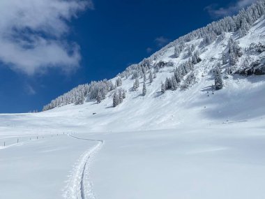 Alpstein dağlarının yamaçlarında ve İsviçre Alpleri 'nin taze dağlık kar örtüsünde, Nesslau - Obertoggenburg, İsviçre (Schweiz)