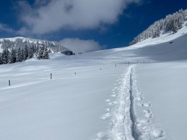 Alpstein dağlarının yamaçlarında ve İsviçre Alpleri 'nin taze dağlık kar örtüsünde, Nesslau - Obertoggenburg, İsviçre (Schweiz)