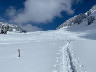 Alpstein dağlarının yamaçlarında ve İsviçre Alpleri 'nin taze dağlık kar örtüsünde, Nesslau - Obertoggenburg, İsviçre (Schweiz)