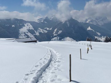 Alpstein dağlarının yamaçlarında ve İsviçre Alpleri 'nin taze dağlık kar örtüsünde, Nesslau - Obertoggenburg, İsviçre (Schweiz)