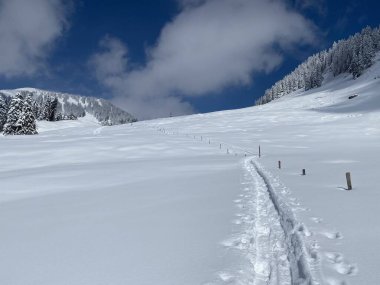 Alpstein dağlarının yamaçlarında ve İsviçre Alpleri 'nin taze dağlık kar örtüsünde, Nesslau - Obertoggenburg, İsviçre (Schweiz)