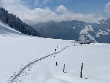 Alpstein dağlarının yamaçlarında ve İsviçre Alpleri 'nin taze dağlık kar örtüsünde, Nesslau - Obertoggenburg, İsviçre (Schweiz)