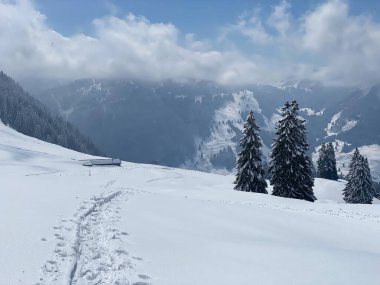 Alpstein dağlarının yamaçlarında ve İsviçre Alpleri 'nin taze dağlık kar örtüsünde, Nesslau - Obertoggenburg, İsviçre (Schweiz)