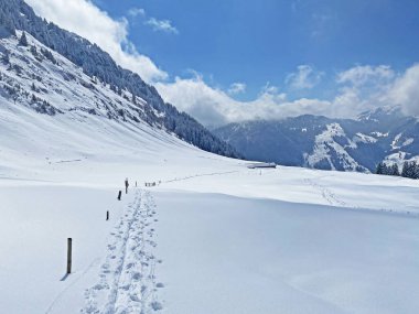 Alpstein dağlarının yamaçlarında ve İsviçre Alpleri 'nin taze dağlık kar örtüsünde, Nesslau - Obertoggenburg, İsviçre (Schweiz)