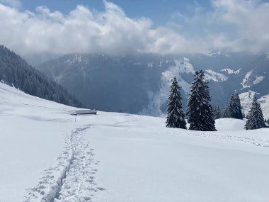 Alpstein dağlarının yamaçlarında ve İsviçre Alpleri 'nin taze dağlık kar örtüsünde, Nesslau - Obertoggenburg, İsviçre (Schweiz)