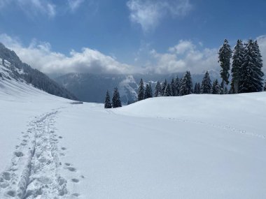 Alpstein dağlarının yamaçlarında ve İsviçre Alpleri 'nin taze dağlık kar örtüsünde, Nesslau - Obertoggenburg, İsviçre (Schweiz)
