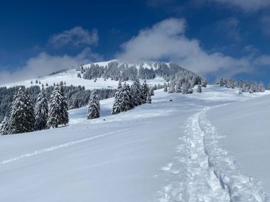 Alpstein dağlarının yamaçlarında ve İsviçre Alpleri 'nin taze dağlık kar örtüsünde, Nesslau - Obertoggenburg, İsviçre (Schweiz)
