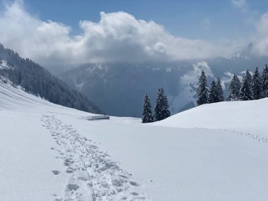 Alpstein dağlarının yamaçlarında ve İsviçre Alpleri 'nin taze dağlık kar örtüsünde, Nesslau - Obertoggenburg, İsviçre (Schweiz)