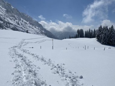 Alpstein dağlarının yamaçlarında ve İsviçre Alpleri 'nin taze dağlık kar örtüsünde, Nesslau - Obertoggenburg, İsviçre (Schweiz)